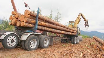 Cat 235 loading a six axle log truck.