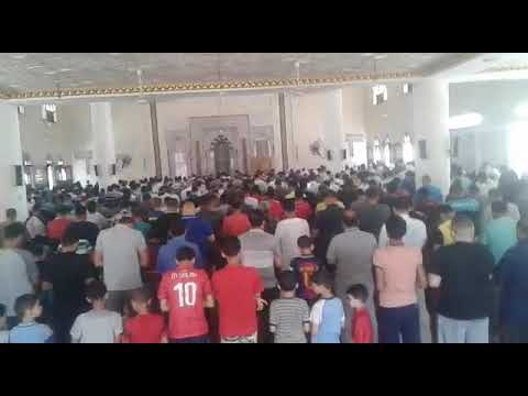 وما محمد الا رسول قد خلت من قبله الرسل محاكاة الشيخ المنشاوي