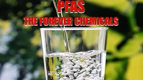 PFAS: The Forever Chemicals