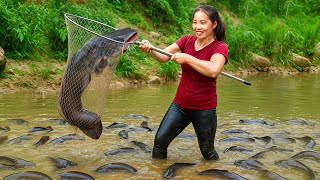 Catching a Big School of Fish After the Rain with My Kids and Selling at the Market