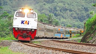 KERETA API PANJANG‼️ MENEMUKAN 28 KERETA API MELINTAS DI PERLINTASAN DAN TIKUNGAN