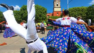 Los Arroyos de Jungapeo, - el baile de la iguana Video oficial