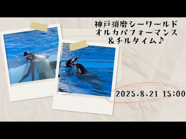 須磨シーワールド　オルカ オルカ(シャチ)ショー☆ノーカット】神戸須磨シーワールド