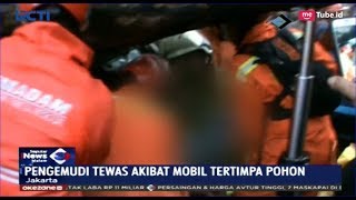 Pohon Tumbang Timpa Mobil di Duren Sawit, Pengemudi Tewas - SIM 02/04