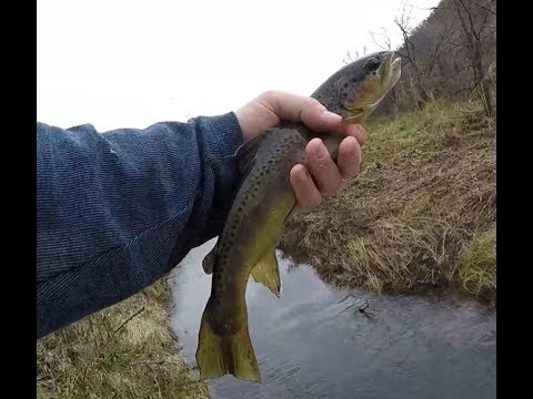 French creek fly fishing Clearance