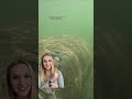 I have some thoughts on this one… Manatees in Flordia!