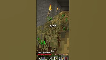 🌾🕯️Cave Wheat Farm in Minecraft🏞️🌱