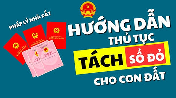 Hướng dẫn thủ tục tách sổ đỏ bố mẹ cho con, hiểu và nắm rõ quy trình khi cho tặng đất cho con