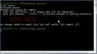 13 Git Tutorial   13   How to Commit Directly to the Repository Profile