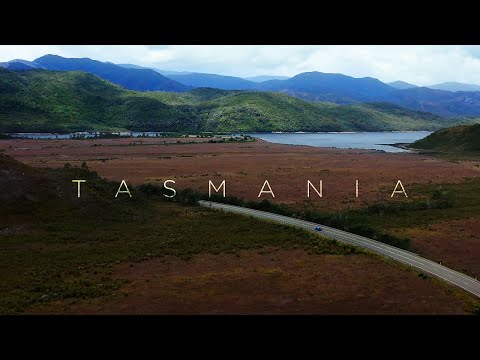 Video: Teri ko'ylagi hajmini kamaytirishning 3 usuli