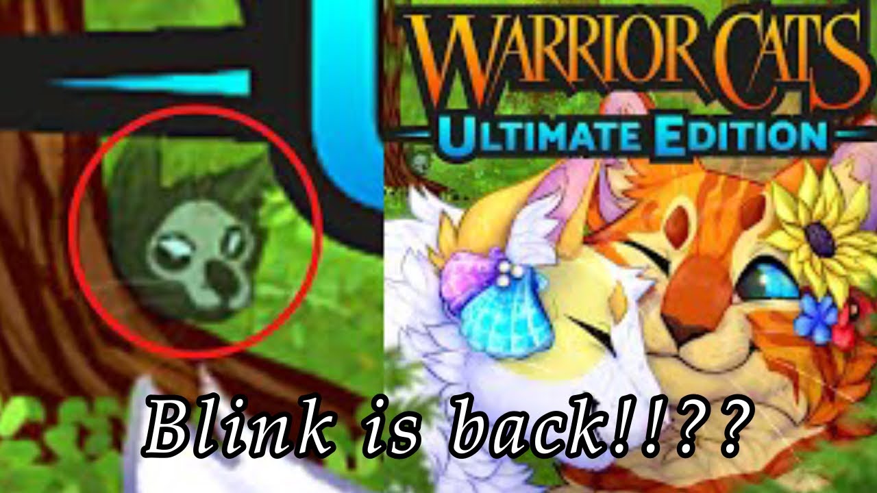 Has Blink returned? Warrior cats summer update! New thumbnail with blink in it!?