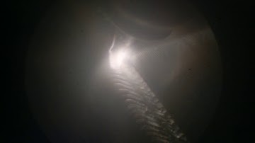 TIG Cladding Process - Borescope