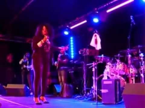 Angie Stone Live in Birmingham UK - April 2014
