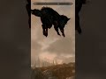 Body Launch - Skyrim