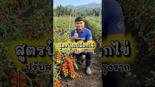 สูตรปุ๋ยเปลือกไข่ ปรับสภาพดิน+บำรุงราก #เกษตรผสมผสาน #โคกหนองนา #farming #ปลูกต้นไม้ #บ้านสวน