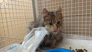 Almost weightless and forgotten... What we found was heartbreaking