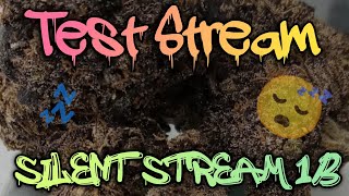 Silent Live 1/1 Let's smoke the world one nug at a time budchroniclestv