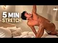 5 MIN Full Body Stretch to Feel Amazing | Daily Mobility Routine