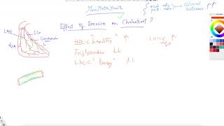 Munisthealth - How To Measure Blood Pressure?