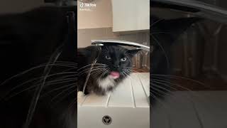 Forget everything u know