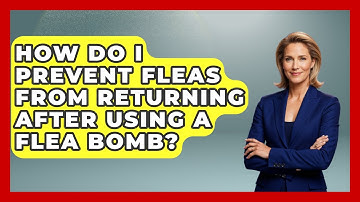 How Do I Prevent Fleas From Returning After Using A Flea Bomb? - Insects and Invaders