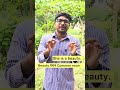Beauty যখন Common noun #education