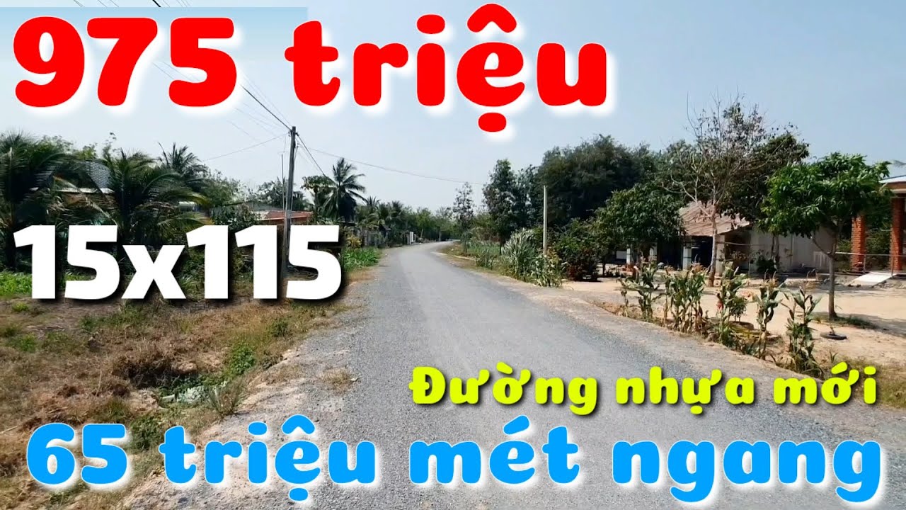 Đất đẹp 15x115 đường nhựa mới xây nhà vườn OK giá rẻ 975 triệu ở Long Vĩnh Châu Thành Tây Ninh