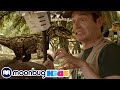 Dino Hypnosis - T-Rex Kids Show @MoonbugKids_PlayAndGoalClub