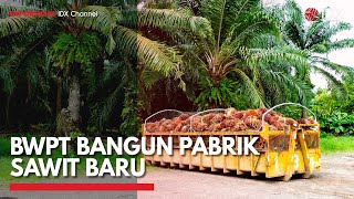 BWPT Bangun Pabrik Sawit Baru | IDX CHANNEL BWPT Bangun Pabrik Sawit Baru | IDX CHANNEL