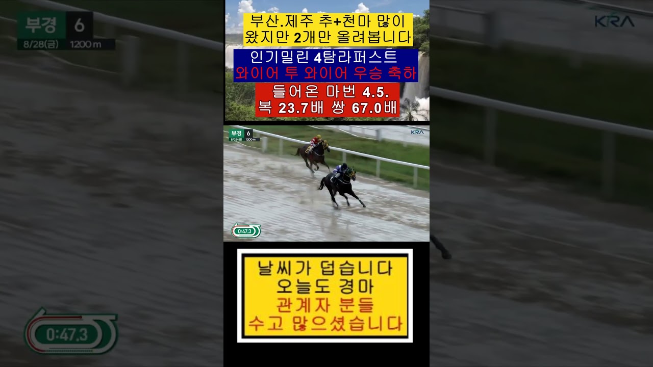 복+병 4탐라퍼스트 와이어 투 와이어 우승하는 영상보기 축하 합니다