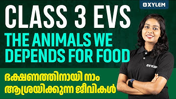 Class 3 EVS | The Animals We Depends for Food / ഭക്ഷണത്തിനായി നാം ആശ്രയിക്കുന്ന ജീവികൾ| Xylem Class3