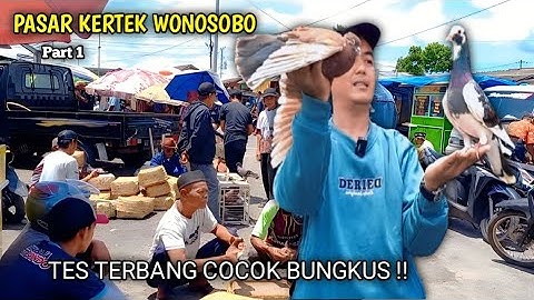 KEMBALI LAGI KE PASAR KERTEK WONOSOBO MASIH BERBURU MERPATI GIRINGAN BUNGKUS PLANGKOK CAKEP PART 1
