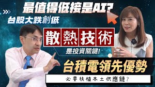 【自由女神邱沁宜】台積電大跌，但買點到?!先進製程優勢還有3-4年，但不要把美韓都當笨蛋?台積電扶植本土廠商是絕對趨勢?AI股提早落底，散熱技術是投資關鍵？Ft.曲博