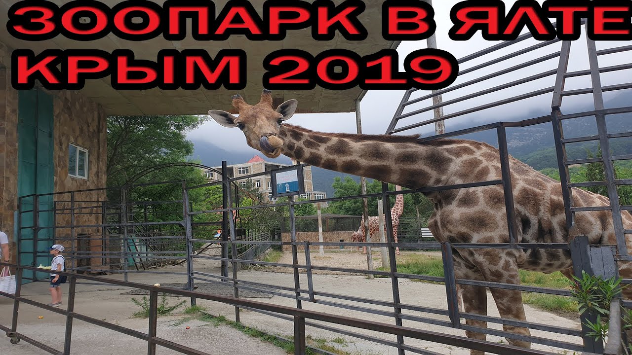 Крым Ялта Зоопарк - YouTube