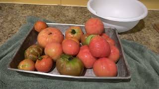 Jenn's Salsa  From The Garden To The Pantry Canned And Ready To Eat! Check It Out.