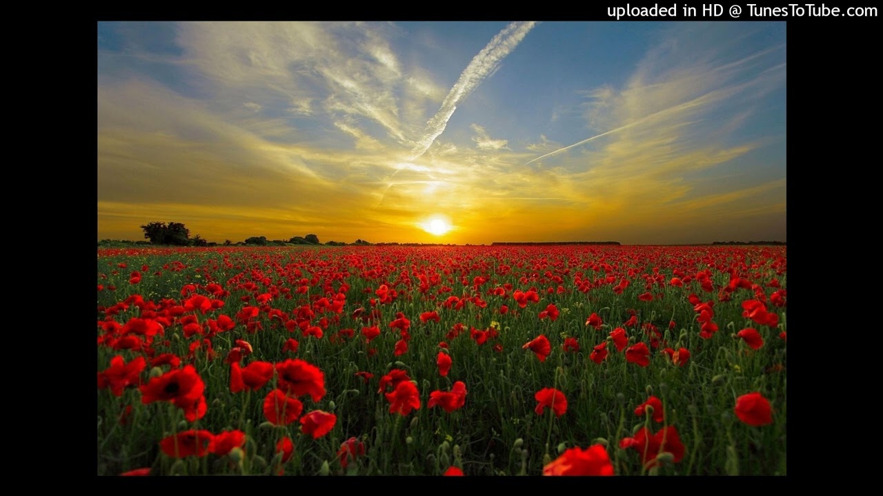 BELLA CIAO (Deutsch-Italo Duett) 🇩🇪🇮🇹 | Intime & Epische Widerstandsversion #GegenFaschismus