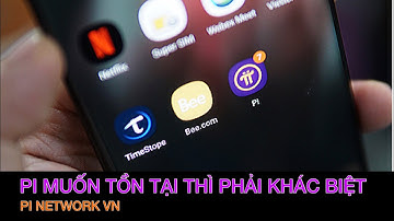 Pi network - điểm khác biệt mà chỉ Pi mới có | the difference that only Pi has | PI NETWORK VN