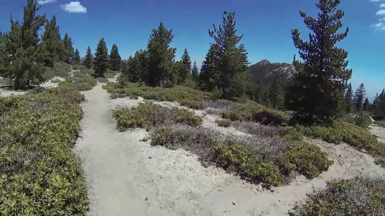 Idyllwild road trip 2013 YouTube