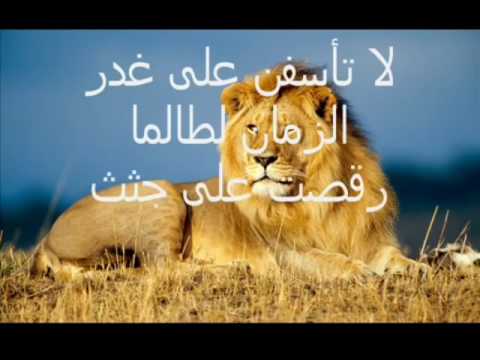 لا تأسف على غدر الزمان لطالما