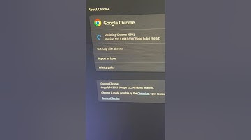 Zo werkt u Google Chrome bij (2025) – Blijf veilig en verbeter de prestaties! 🔥