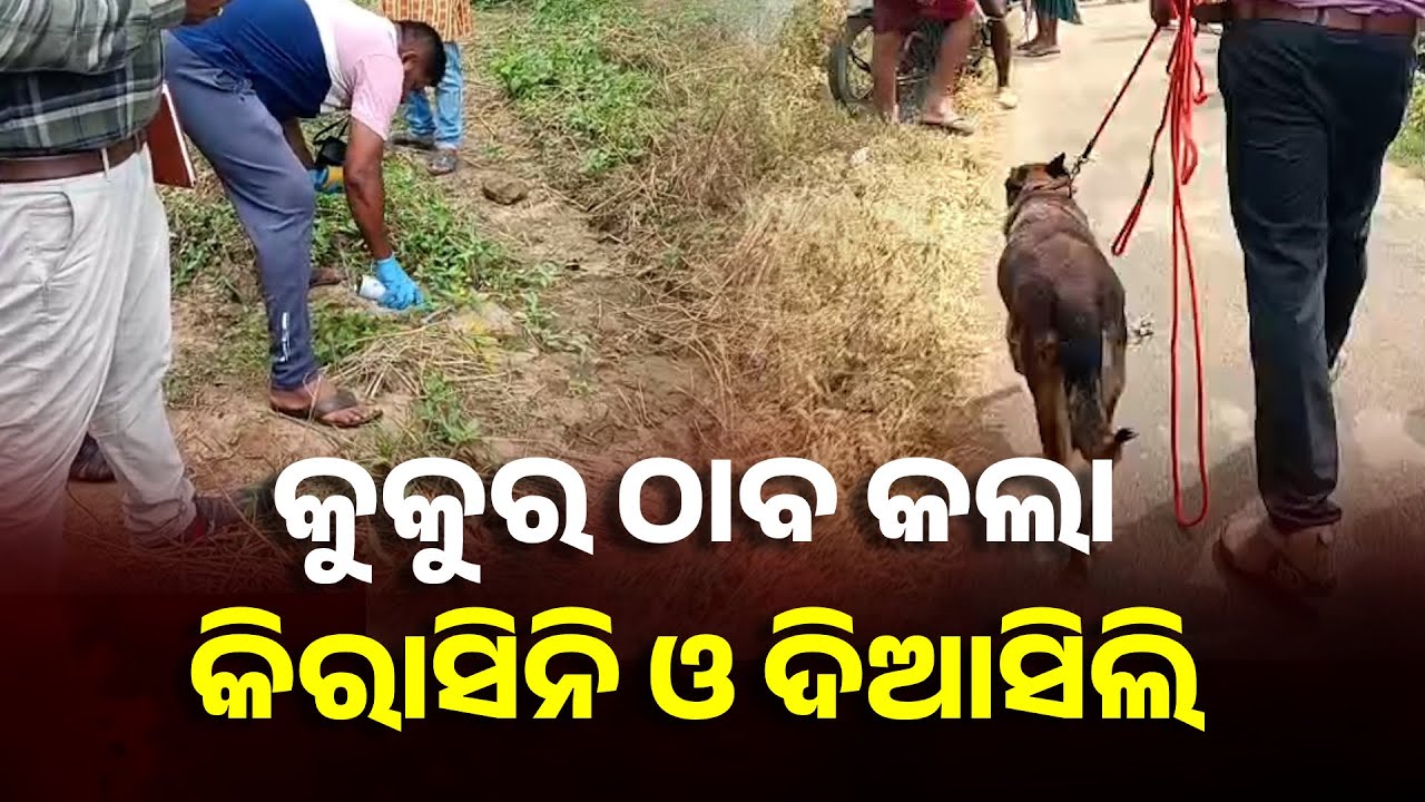 ବଳଙ୍ଗା ଛାତ୍ରୀ ପୋଡ଼ି ଘଟଣାରେ ସନ୍ଧାନୀ କୁକୁର ଠାବ କରିଛି ଏସବୁ ଜିନିଷ || Knews Odisha