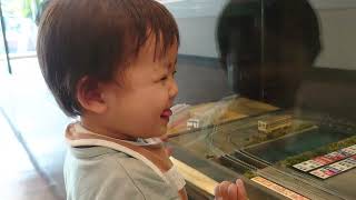 🍒Yuki kun excited about the train miniature 👶 ♥ 🚃電車のミニチュアに興奮するゆきくん👶♥🚃 by 【Cute Japanese Baby Vlog(*'▽')】可愛い日本の赤ちゃんのVlog 1,888 views 12 days ago 1 minute, 29 seconds