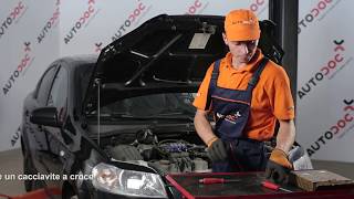 Manuale Chevrolet Aveo T200 2007 - video guida