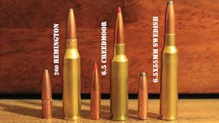 260 Remington vs 6.5 Creedmoor vs 6.5x55 Swede: Which 6.5 Is Best For You?