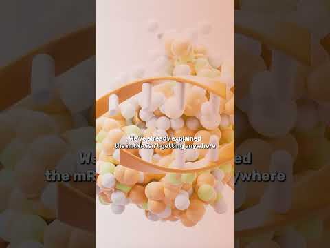 What You Should Know About mRNA Vaccines