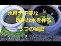 水替え不要で透明な水のメダカ水槽の秘密 作り方 3つを合わせることで完璧めだか killifish, 水替え不要で透明な水のメダカ水槽の秘密 作り方 3つを合わせることで完璧めだか killifish,