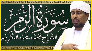 تلاوة خاشعة سورة الزمر تلاوة الشيخ محمد عبدالكريم