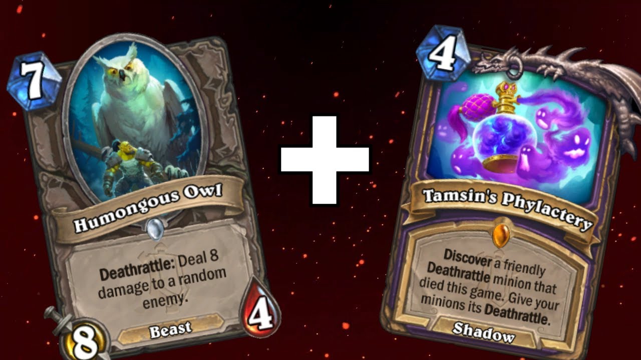 Hearthstone Humongous Owl is Bonkers YouTube