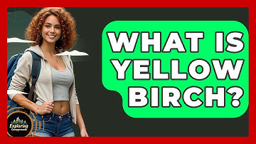 What Is Yellow Birch? - Exploring Campgrounds
