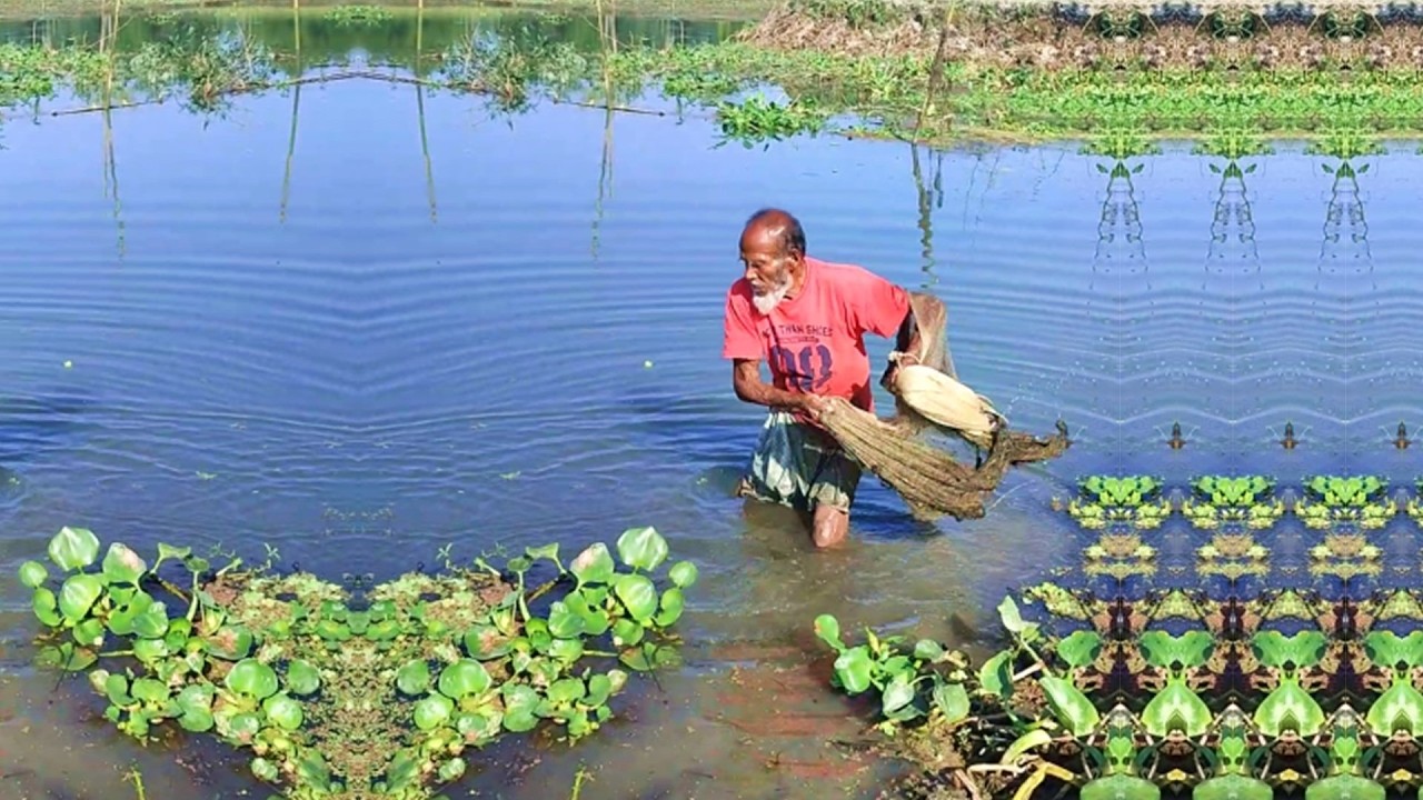 Amazing Fishing Skill - Best Cast Net Fishing - Fishing by Poor and Skilled Fisherman